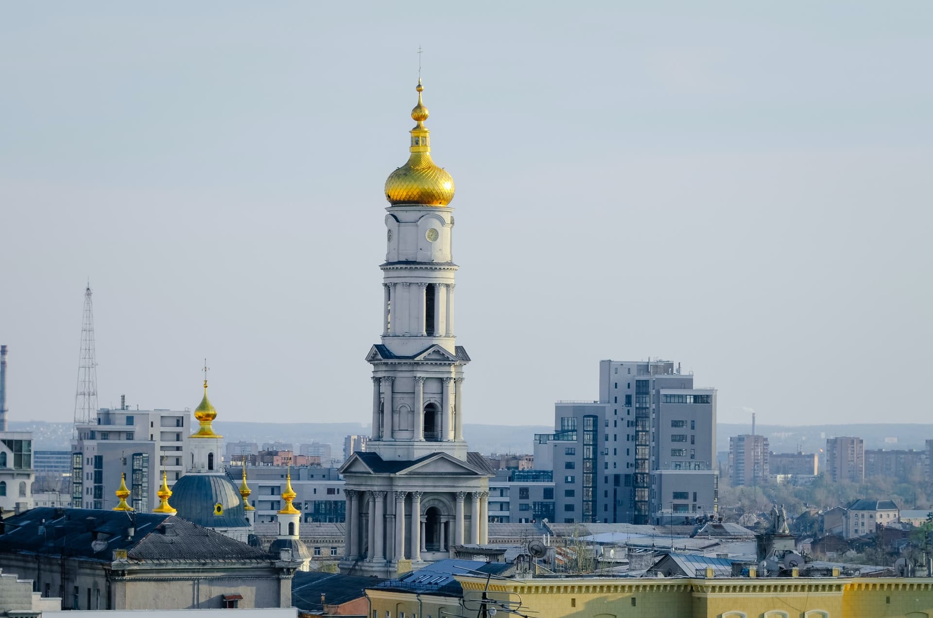 pexels-denys-olieinykov-7530768